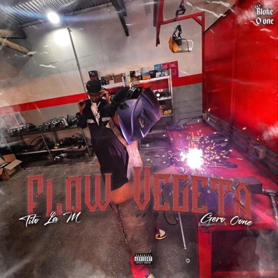 Flow Vegeta (feat. Tito_la_m & Gero0one) - Single