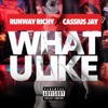 What You Like - Single