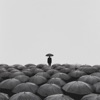 Rainy day