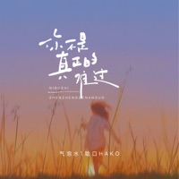 你不是真正的难过 - Single - 气泡水 & 哈口HaKo