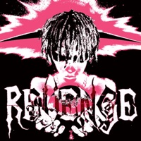 Revenge (feat. CapsCtrl) - Single - SuperDuperWavey