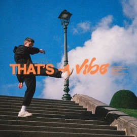 THAT'S A VIBE SVDKO