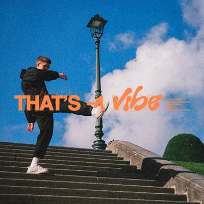 THAT'S A VIBE - Single