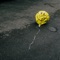 HAPPY - HRDLY lyrics