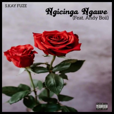 Ngicinga Ngawe (feat. Andy Boy) - Single