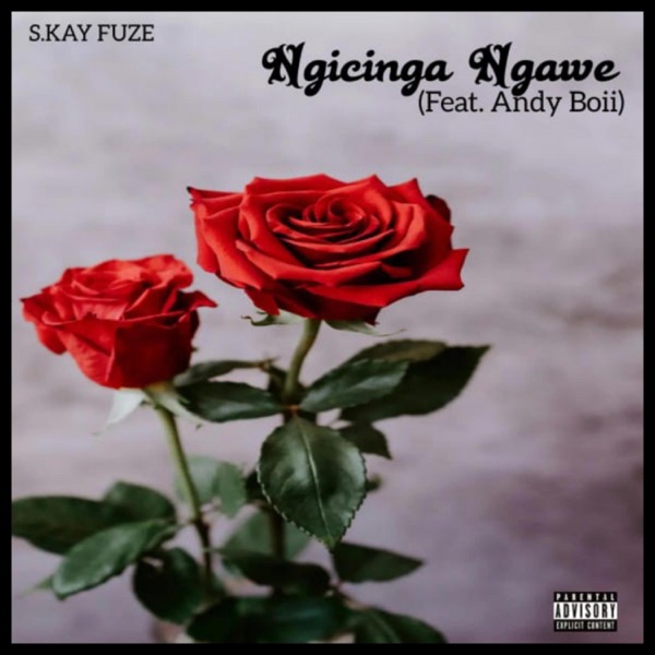 Ngicinga Ngawe (feat. Andy Boy)
