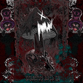 $GETTI ƁRINE Death $hroom & $cion