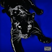 PANTHER.wav - AzLuvz