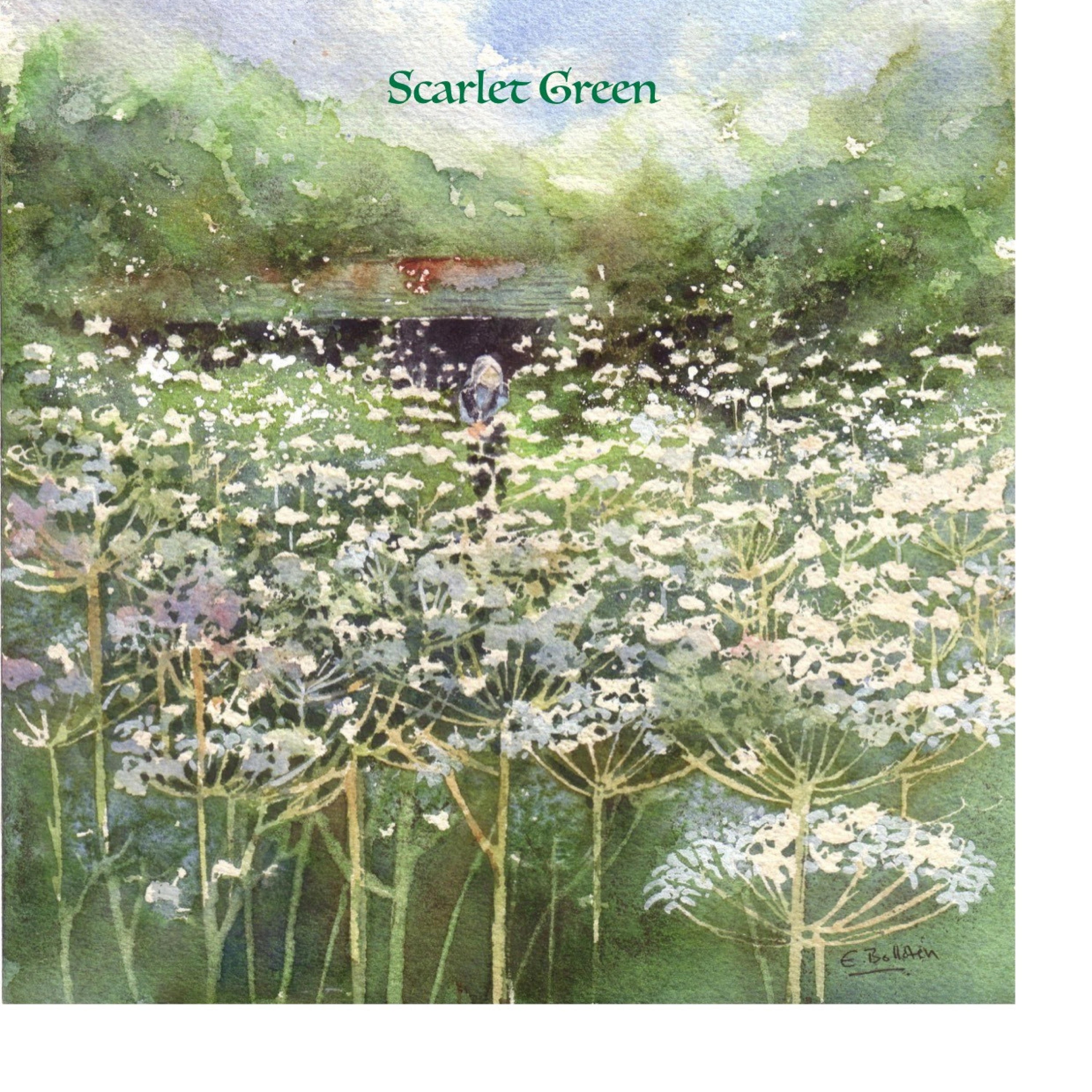 unknown - Ravens/Green Eyes