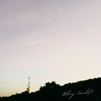 ฉันเจ็บ (feat. Xmelit1) - Single - BLUEJ