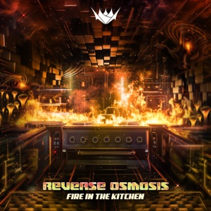 Fire in the Kitchen - Single