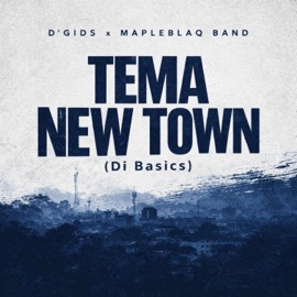 Tema New Town (Di Basics) D'Gids