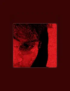 聆聽 Mayobee、觀看音樂影片、閱讀小傳、查看巡演日期等！