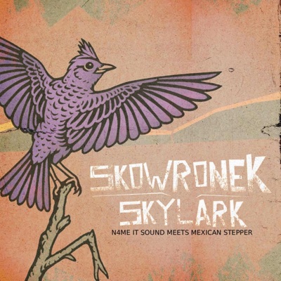 Skowronek (Skylark) (feat. N4me It Sound) - Single