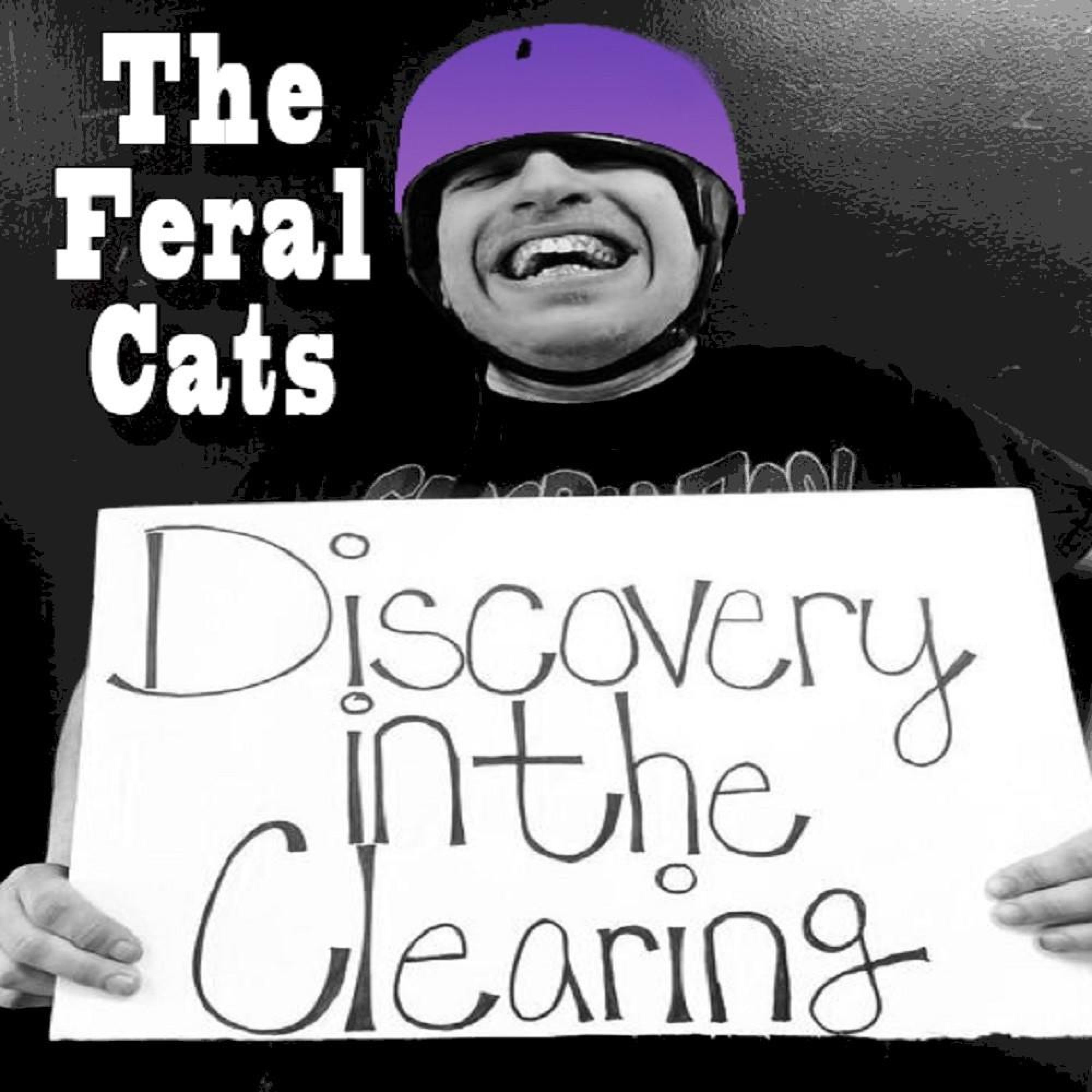 Discovery in the Clearing - Single