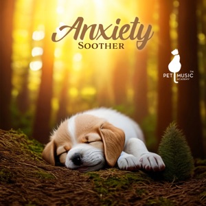 Anxiety Soother: Relaxing Atmosphere for You and Your Pet