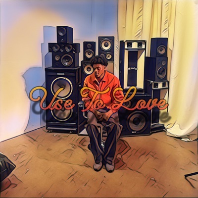 Use To Love - Single