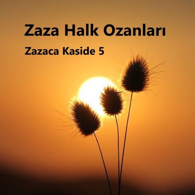 Seyyid Muhammed Van-î - Em Zelîlın em Feqîrınya