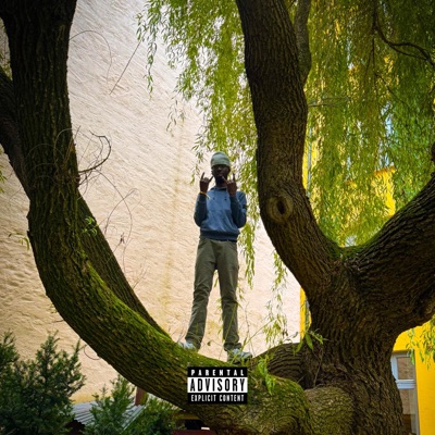 100% (i hagen) [feat. Store K & hanProdusenten] - Single