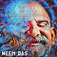 Album cover for Neem Karoli Chalisa (Vinay Chalisa in English) by Neem Das