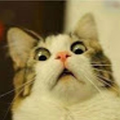 Co1 (feat. Jonathan) - Single