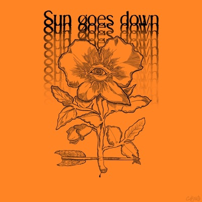 Sun Goes Down - Single
