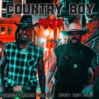 Country Boy, Pt. 2 (feat. Trey Healy) - Single - Greedy Money Wontae