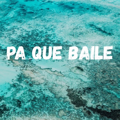 Pa Que Baile - Single
