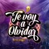 Te Voy a Olvidar - Single