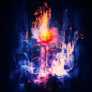 Floating Lotus Through Nebulae