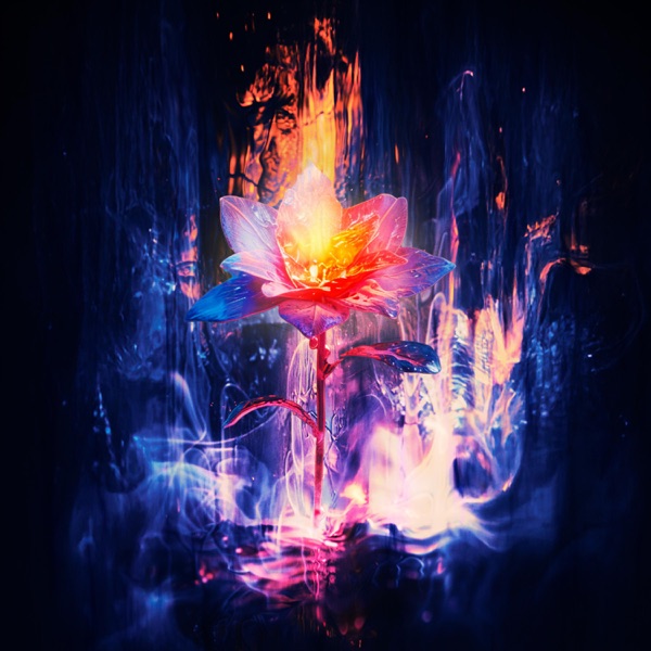 Floating Lotus Through Nebulae