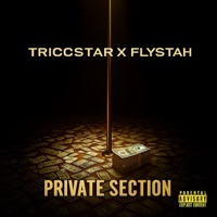 Private Section (feat. Triccstarr) - Single - Flystah