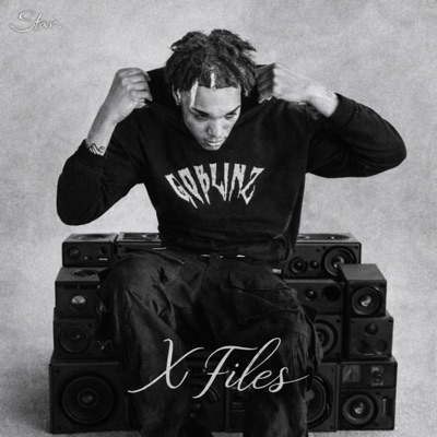 X Files