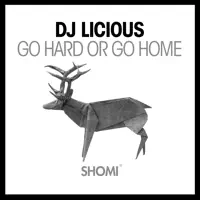 Go Hard or Go Home (Extended Mix) — DJ Licious