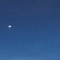 astrologers elegy