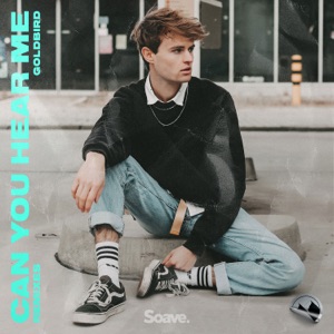Can You Hear Me (Remixes) - EP