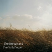 The Breeze and The Wildflower artwork