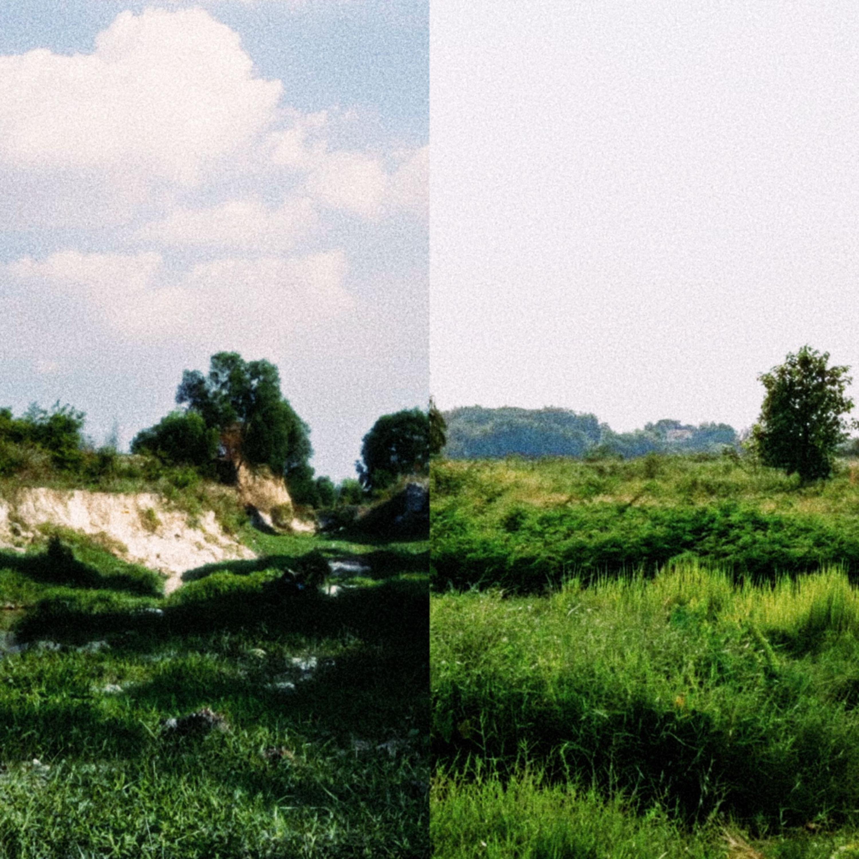 Evergreen - Single
