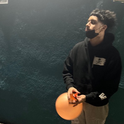 Steady ina field - Single