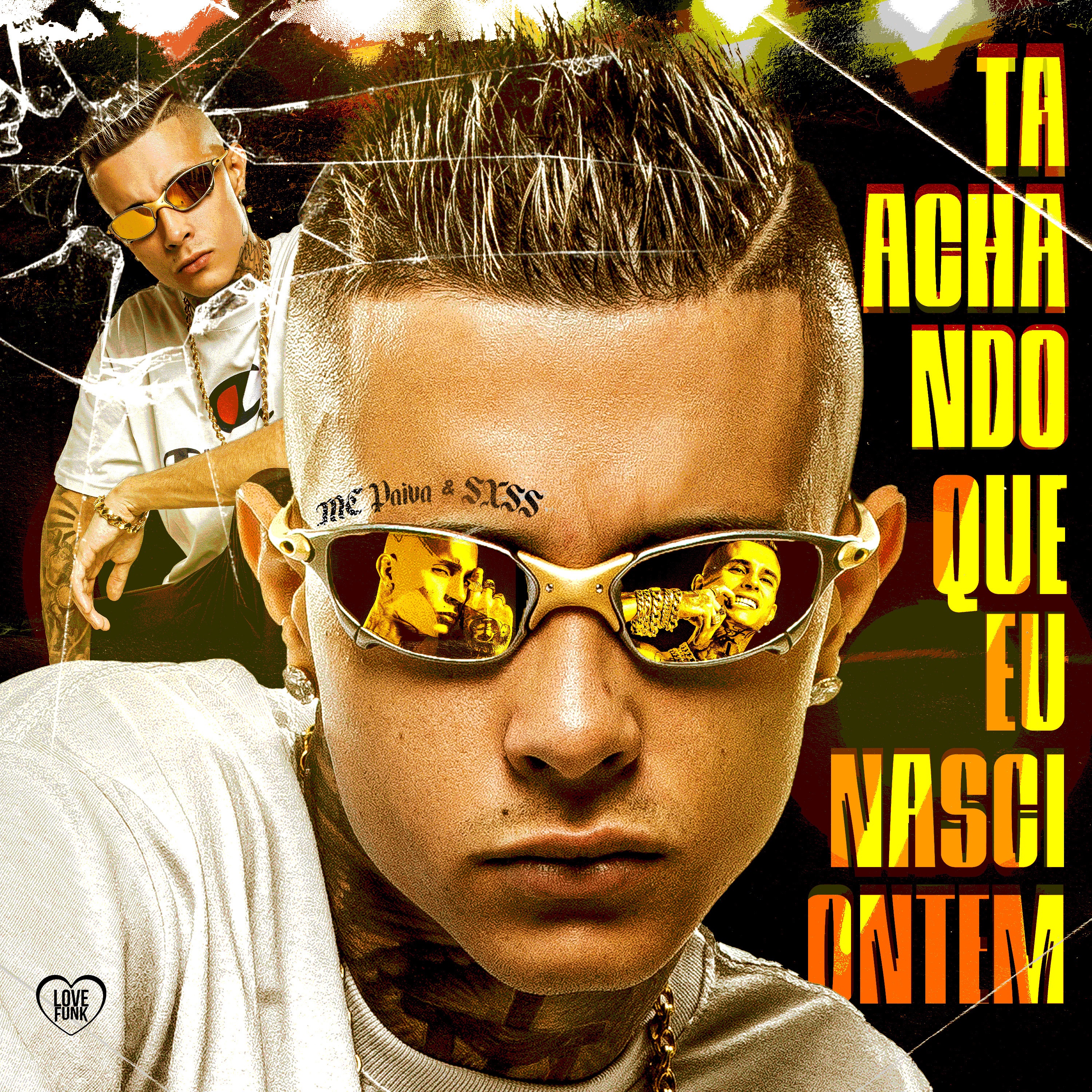 Ta Achando Que Eu Nasci Ontem - Single