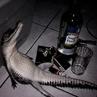 I Woke Up To Eat Cereal In The Dark (feat. Kenopro79) - Single - Mystic Falls