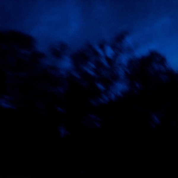wasted - Single