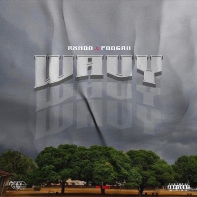 WAVY (feat. Rxndo) - Single