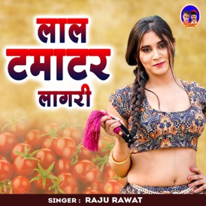 Lal Tamatar Lagri