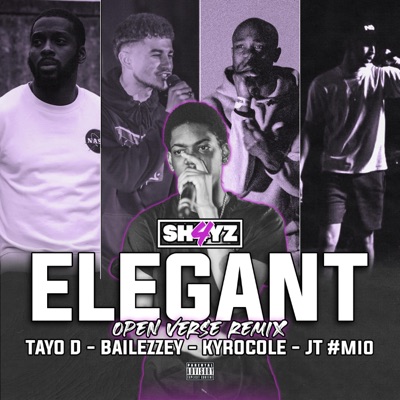Elegant (feat. Tayo D, Bailezzey, Kyro & JT #MIO) [Open Verse Remix] - Single