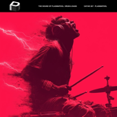 The Sound Of Plasmapool: Drum & Bass
