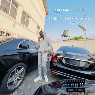 Foreigns Dashin' (feat. ZiggyMilla & TXO) - Single