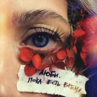 Люби, пока есть время - Single - Ermak!