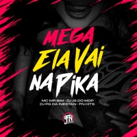 Mega Ela Vai na Pika - Single - Mc Mr. Bim & Dj Pg Da Inestan