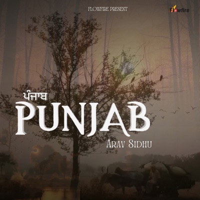 Punjab - Single